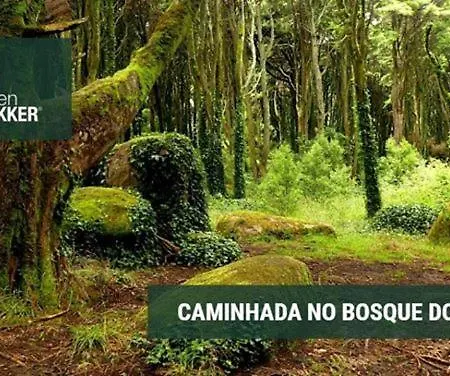 Carriche 3 Homestay szállás Lisboa